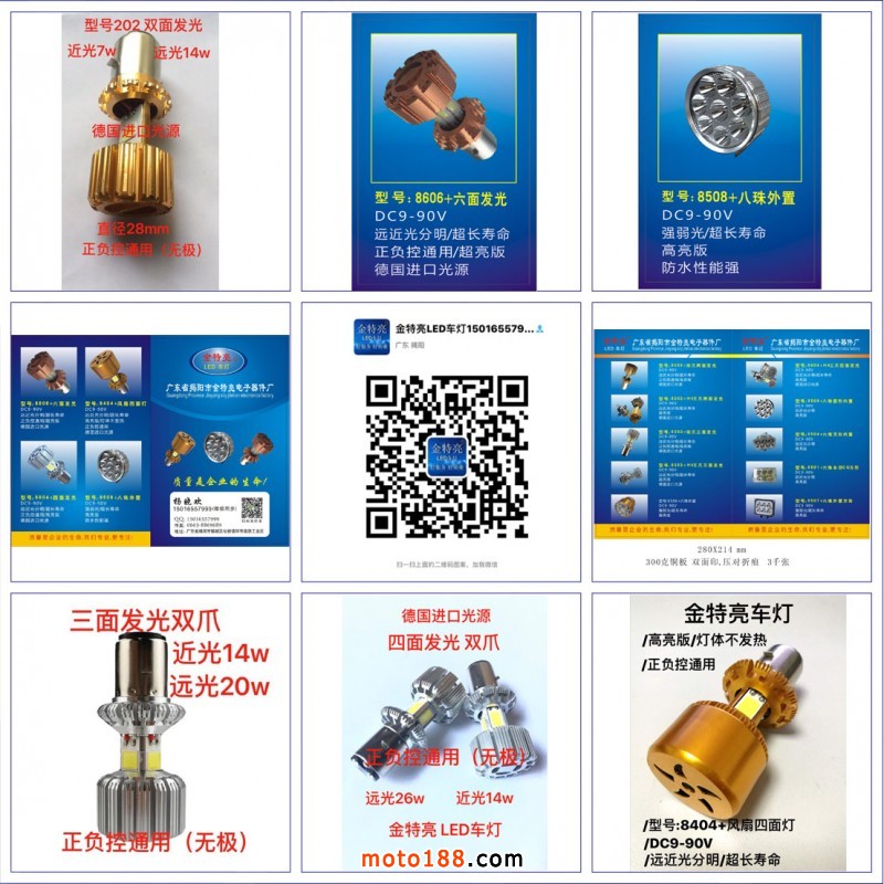 金特亮20200212拼圖