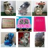專業(yè)生產(chǎn)和銷售三輪摩托車發(fā)動(dòng)機(jī)