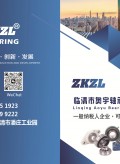臨清奧宇軸承有限公司 (9)